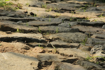 rocky surface