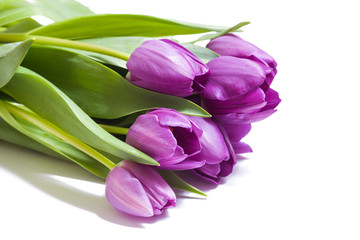 Naklejka premium Bouquet of violet tulips on white background close-up