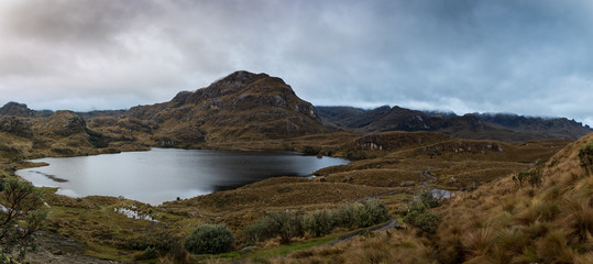 View from “La Toreadora” inside El Cajas National Park. You can see many lagoons, rocky mountains and low vegetation in the distance. A wet and foggy weather, typical of wastelands. Azuay, Ecuador