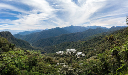 Fototapeta na wymiar Amazing panoramic view of Bella Vista valley. You can see several mountains, hills, wild vegetation and the sky full of clouds. Mindo, Ecuador