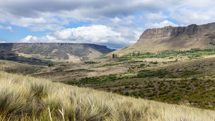 Landscape of great mountains, clouds and a field of bushes and several poplars.