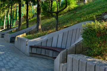 Fototapeta premium bench in the park
