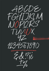 Handwritten font. Script. Latin calligraphic set