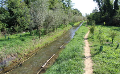 Strada di campagna - escursione