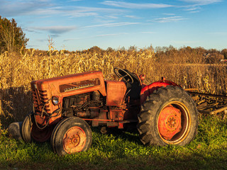 old red tractor in front of cornfield