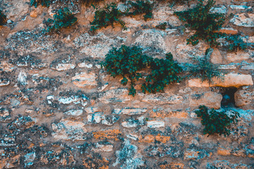 stone facade texture for photo backgrounds