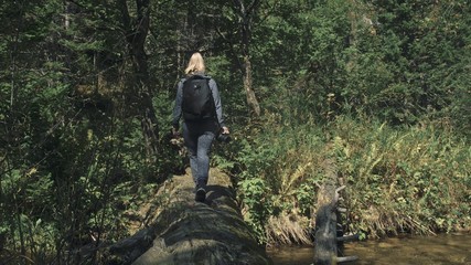 Traveler photographing scenic view in forest river. Wood bridge fallen tree. One caucasian woman...