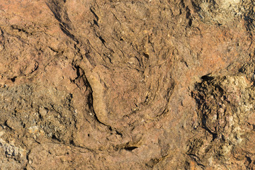 Rock plate. Colored stone surface. Wall of the house. Geology and Metamorphic rocks.