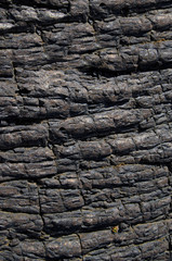 Asphalt Black Lava on Big Island