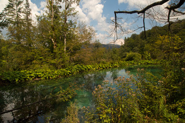 Obraz premium Plitvice Lakes National Park, Croatia.