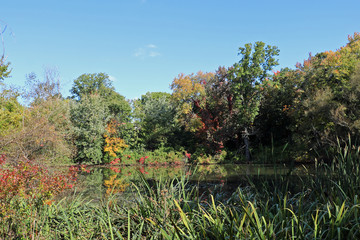 Obraz premium Autumn landscape with colorful trees surrounding a lake