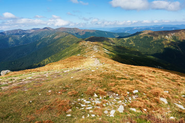 Mountains with forests. Carpathian Mountains