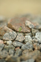 stone wall background
