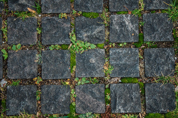 texture of granite tiles on the pavement with moss