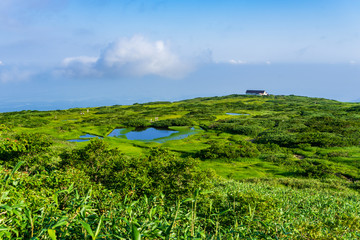 【山形県】日本百名山　夏の月山　弥陀ヶ原湿原