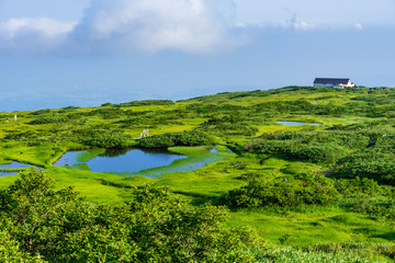 【山形県】日本百名山　夏の月山　弥陀ヶ原湿原