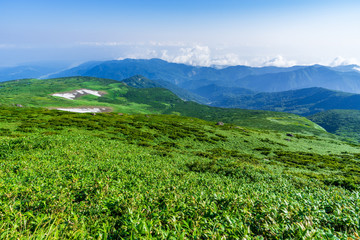 【山形県】日本百名山　夏の月山