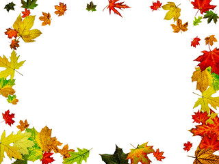 Naklejka na ściany i meble Autumn leaves background. October falling pattern isolated on white. Thanksgiving concept