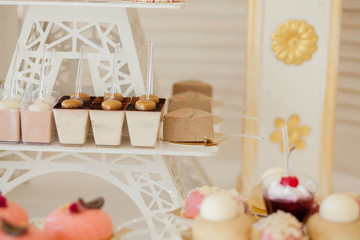 Desserts with fruits, mousse, biscuits. Different types of sweet pastries, small colorful sweet cakes, macaron, and other desserts in the sweet buffet. candy bar for birthday.