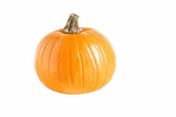 Large pumpkin and orange isolated on a white background