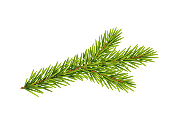 Tannenzweig, Weihnachts-Dekoration, Vektor Illustration isoliert auf wei&szlig;em Hintergrund