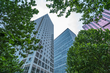 modern office building with green leaves.