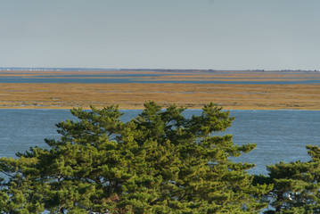 Vast marshes in Atlantic city stretching though water. 