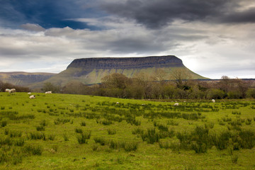 Grenn Benbulben in Sligo, Ireland with white sheeps grazing. Stormy clouds above
