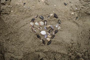 corazon con conchas de mar