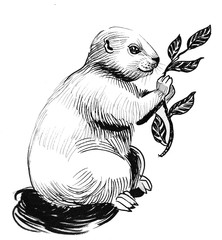 Cute fluffy animal eating leaves from the branch. Ink black and white drawing