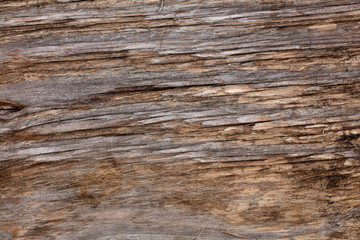 Old Wooden Background