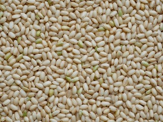Organic Grain Brown Rice in Korea