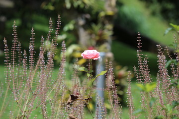 natureza para poucos