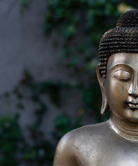 Buda en meditación con fondo desenfocado