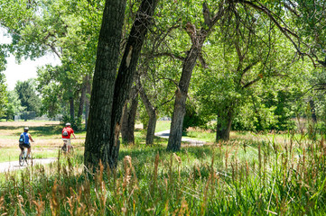 A bike and walking trail though a park