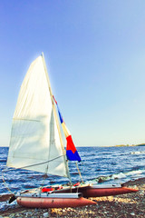 Naklejka premium sailing on the sea