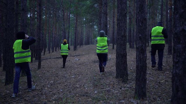 group of volunteers in green vests went in search of missing persons in a pine forest