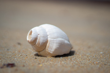 Praia de Galinhos-RN, Brasil. Nordeste Brasileiro. Costa Norte do estado do Rio Grande do Norte. 