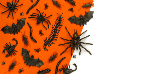 Black Halloween creepy crawly bugs and spiders on orange background with blank white space for text...