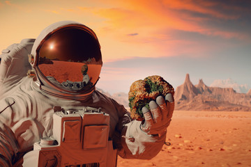 life on planet Mars, astronaut discovers living organisms inside a rock  © dottedyeti