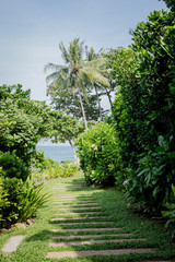 Obraz premium garden with palm trees