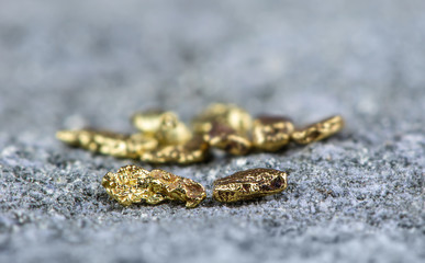 Macro shot of natural gold nuggets. Concept: natural gold
