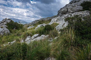 landscape of Sierra de Tramuntana, Mallorca, Spain