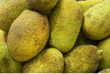 close up on tropical fruits jackfruits in pile