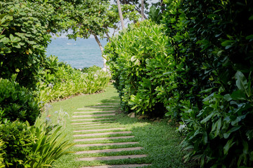 Naklejka premium path in the forest over sea