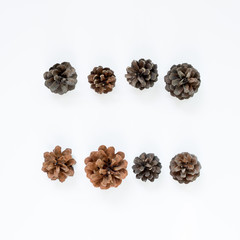 Pine cones on white background. Autumn concept