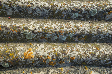 Texture of old asbestos slate covered with lichen and moss. Slate top view close-up. Vintage natural background.