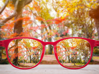red glasses lense over autumn park background.