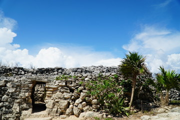 Fototapeta na wymiar Zona Arqueológica de Tulum