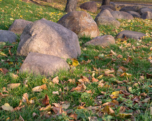 Obraz premium large stones and boulders with fallen leaves around in city part during autumn. nature, seasonal